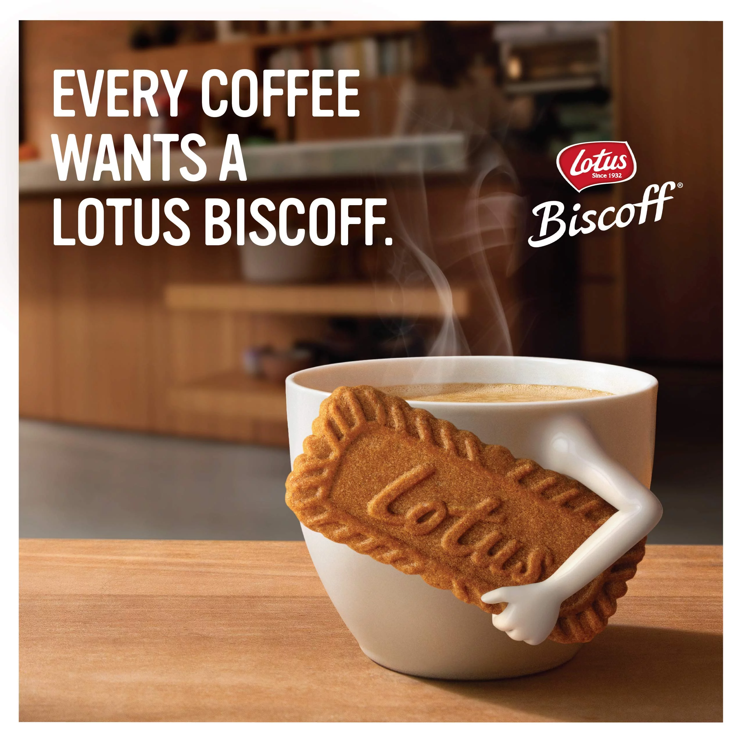 Lotus Biscoff Cookies, 8.8 Oz.
