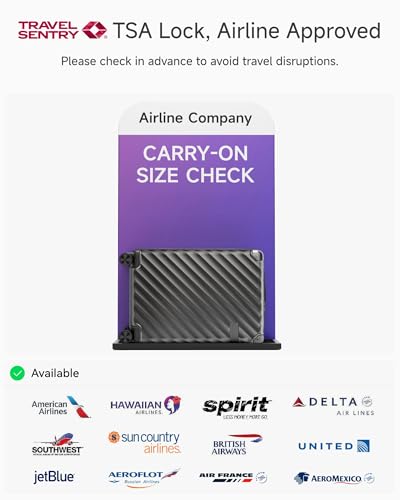 LUGGEX Luggage with Spinner Wheels, Polycarbonate Expandable Hard Shell Suitcase, Carry On 20 Inch, Charcoal Metallic