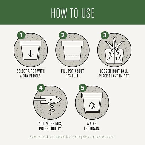 Miracle-Gro Houseplant Potting Mix - Fertilized Soil, Designed to be Less Prone to Gnats, 4 qt. (2-Pack)