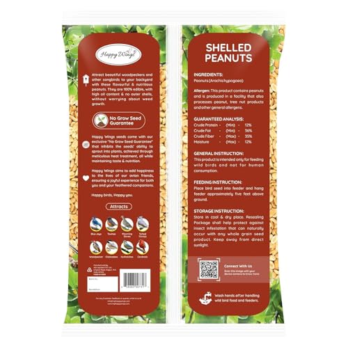 Shelled Peanuts Seeds Wild Bird Food - 5 Pounds I No Grow Seed I Bird Seed for Wild Birds