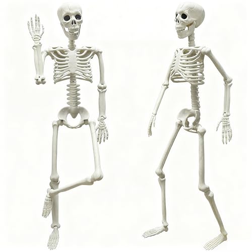 LUKBERA Posable Halloween Skeletons, 1Pcs 5.9ft Life Size Human Skeleton with Movable Joints for Halloween Haunted House Decoration