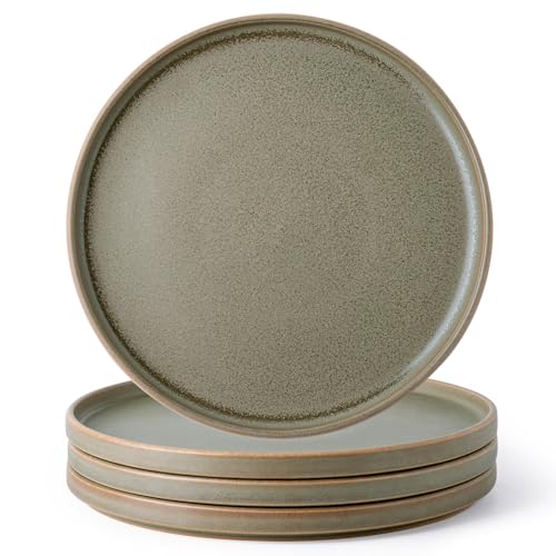 AmorArc Stoneware Dinner Plates Set of 4, 10.25 Inch Reactive Matte Glaze Ceramic Plates Set, Modern Dinnerware Dish set for Kitchen, Microwave, Dishwasher Safe, Scratch Resistant
