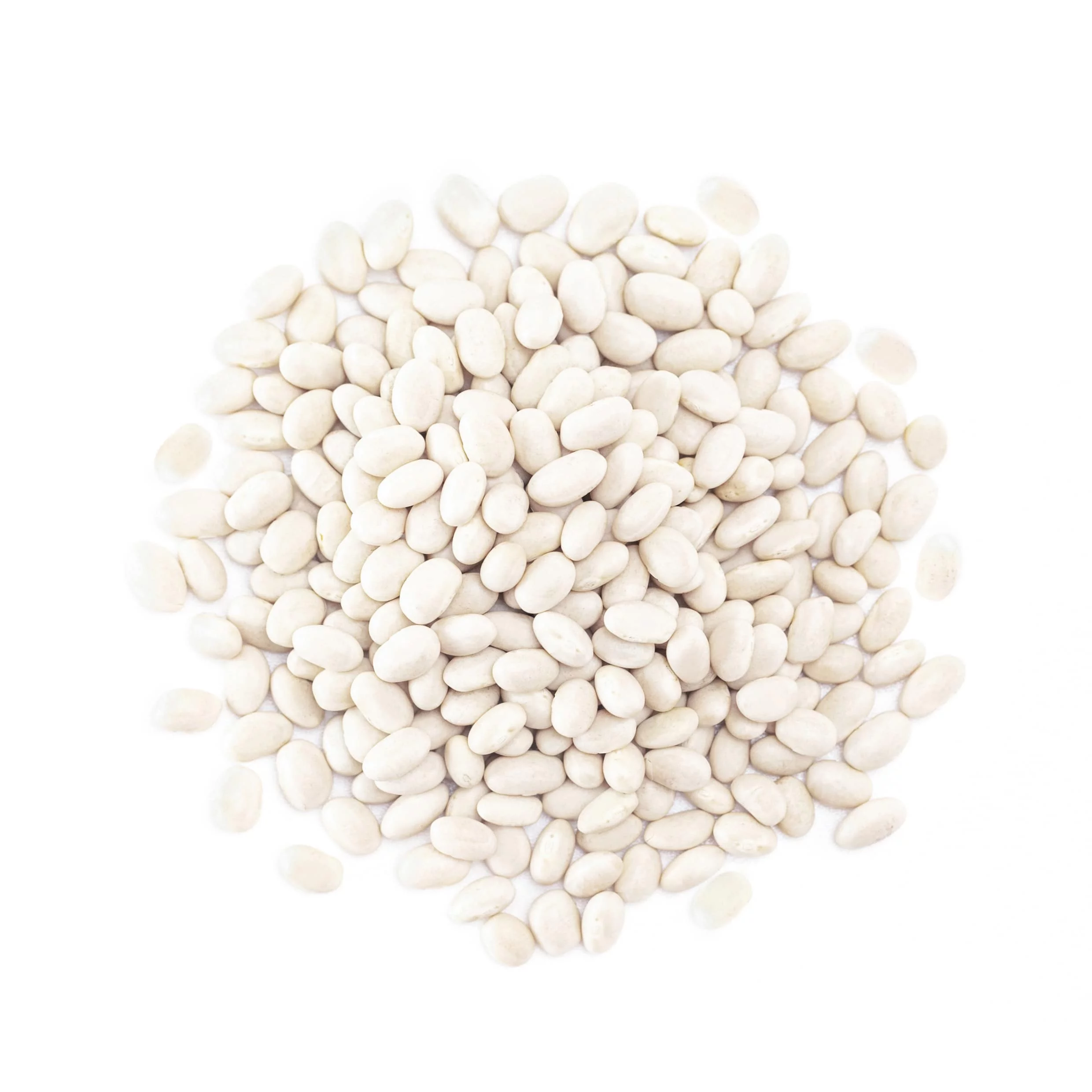 Navy Beans, 6 Pounds — Kosher, Raw, Vegan, Sproutable — by Food to Live