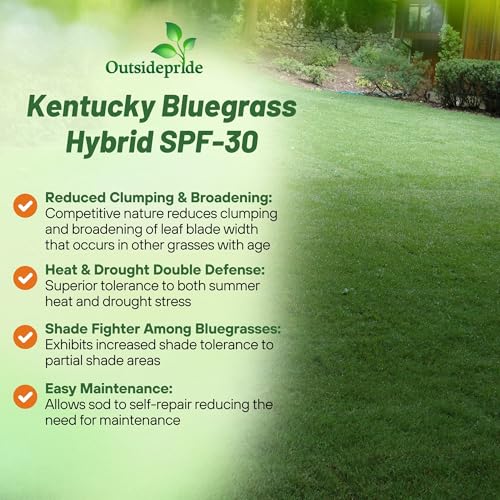 Outsidepride 5 lb. SPF-30 Heat & Drought Tolerant Hybrid Bluegrass Lawn Grass Seed