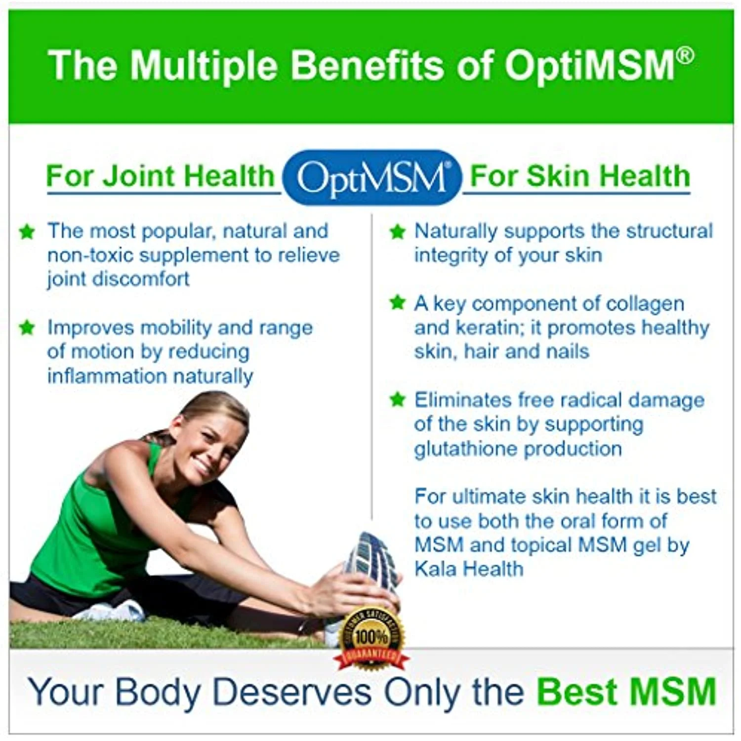 MSMPure Course Flakes 1 lb