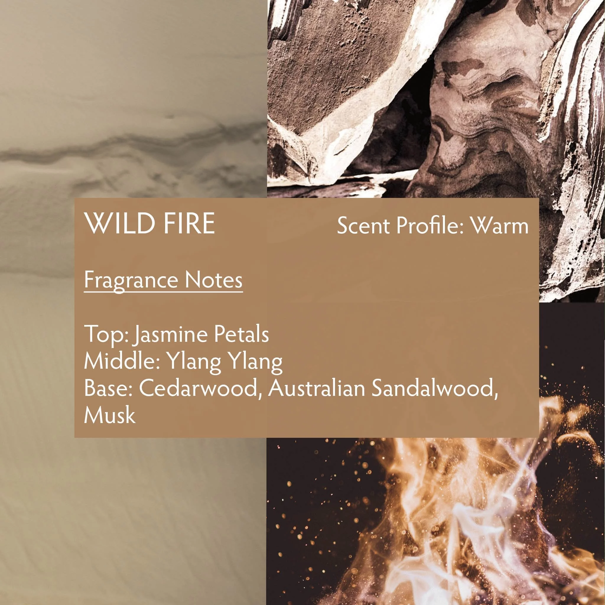 WILD FIRE Unisex Perfume, Eau de Parfum Spray 3.4 oz Luxury Size