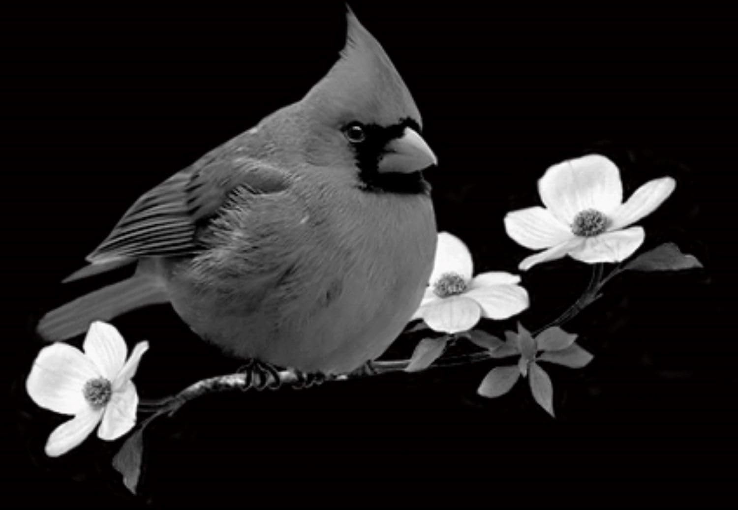 Personal Columbaria 2 niche - monument grade granite - custom engraving available.