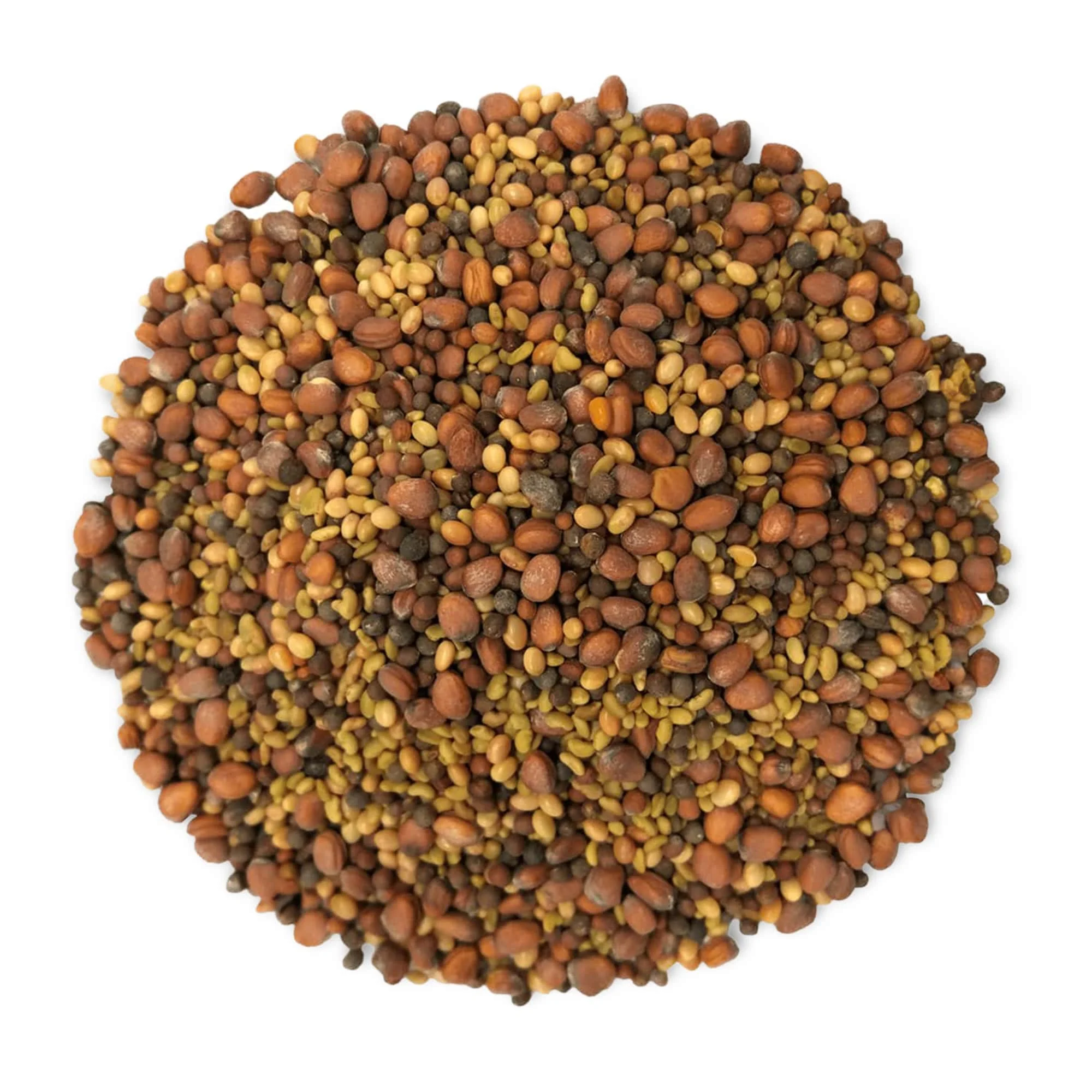 Salad Mix of Sprouting Seeds, 5 Pounds ? Sproutable, Kosher, Raw, Vegan ? by Food to Live