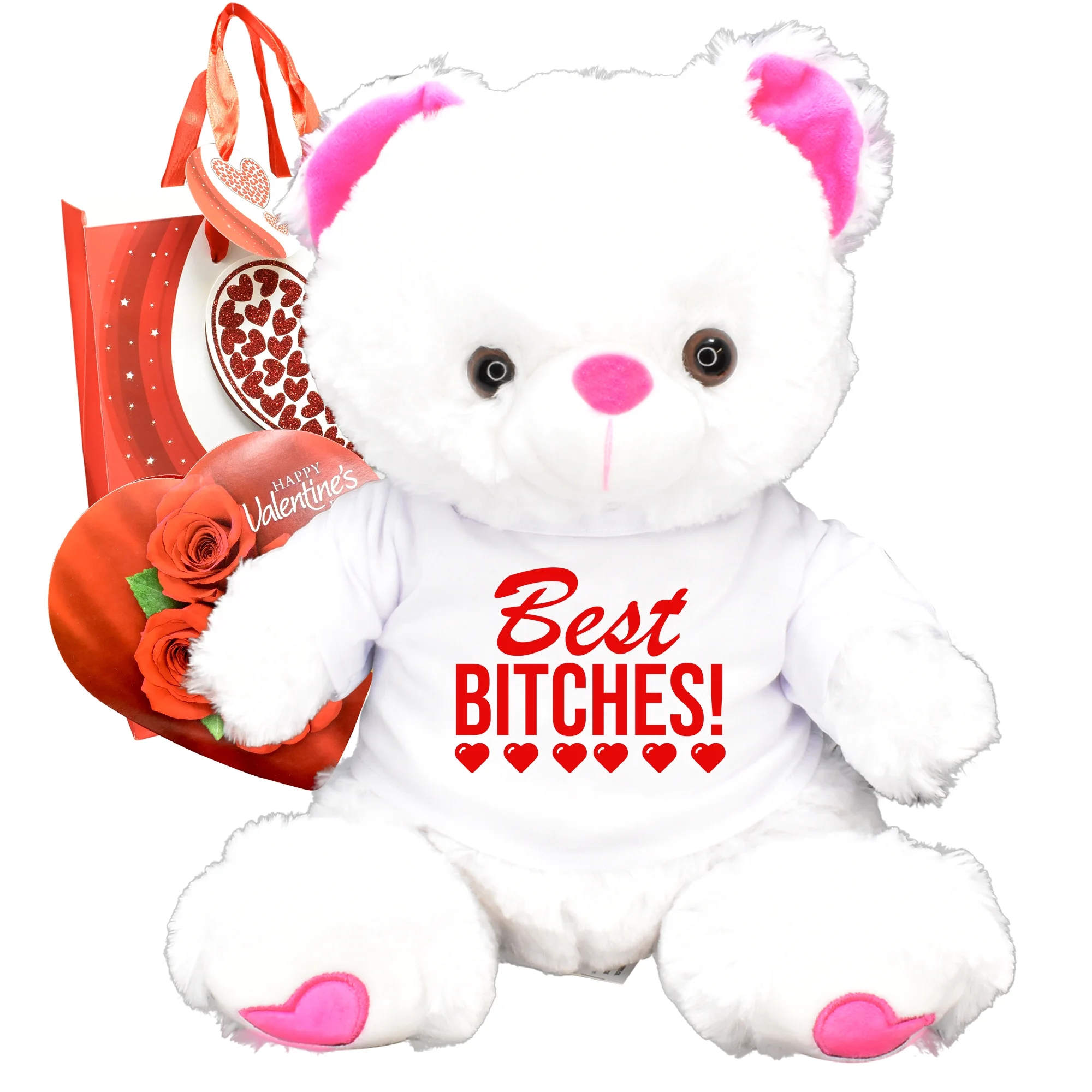 Gf Valentines Gift Teddy Bear Chocolates Best Bitches Gift Bag Plush Girlfriend Boyfriend Galentines Husband Wife Galentines Day