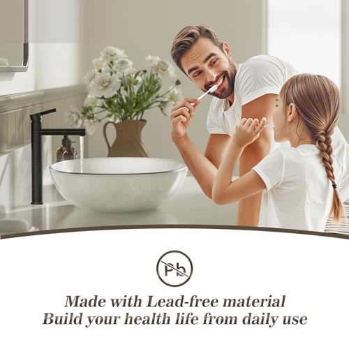 Phiestina Brushed Gold One Hole High Bathroom Vessel Sink Faucet, Single Hole Single Handle Tall Bathroom Faucet, with Pop Up Drain and Water Supply Line,FH01-BG-V