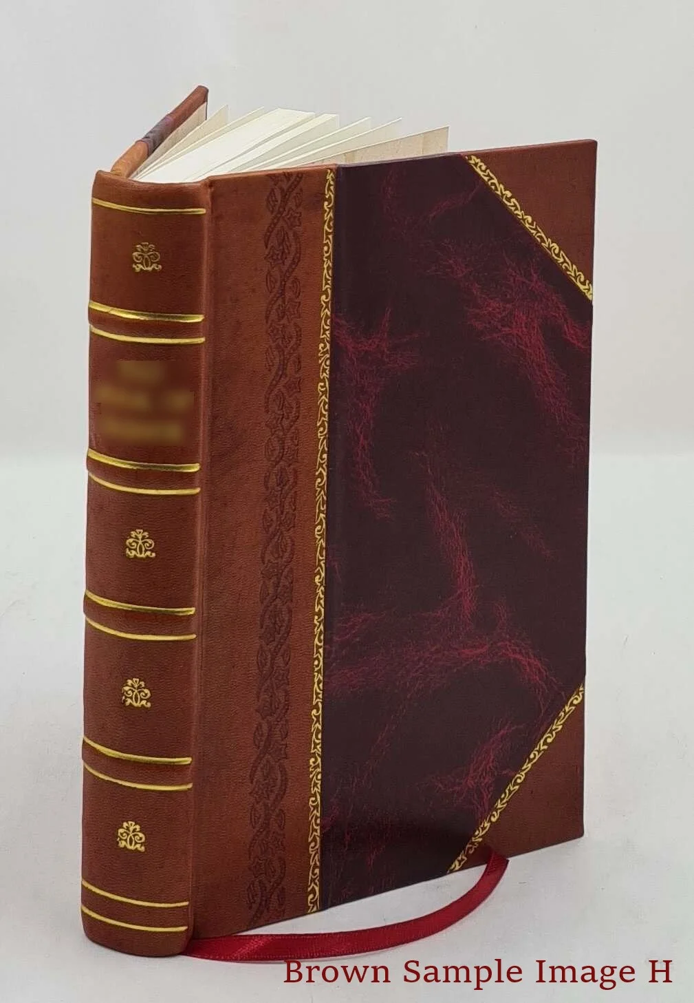Braunschweiger Volkskunde 1896 [Leather Bound]