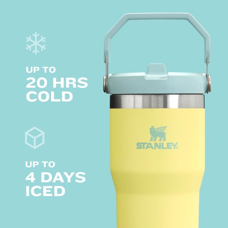 Stanley IceFlow Flip Straw Tumbler with Handle 30 oz | Twist On Lid and Flip Up Straw | Leak Resistant Water Bottle | Insulated Stainless Steel |BPA-Free | Lilac