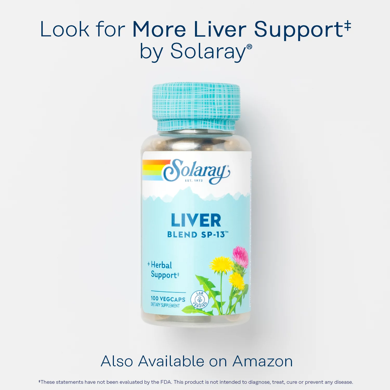 Solaray - Milk Thistle Phytosome, 60 capsules