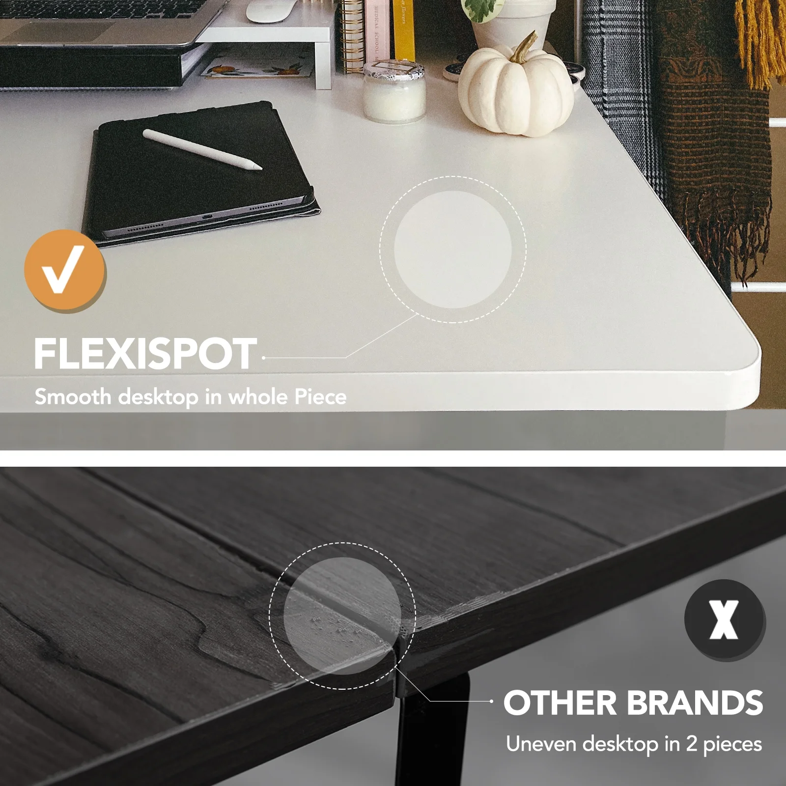 FlexiSpot 55