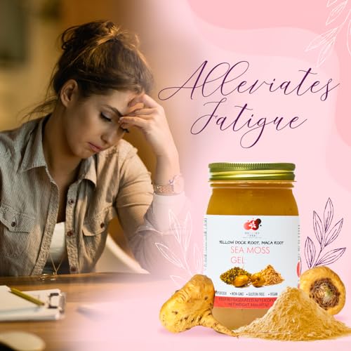 Healthy Herbs Sea Moss Gel (Elderberry) Wildcrafted from Jamaican St Lucia Gold Seamoss | Wild-Harvested Superfood With Over 90 Essential Vitamins & Minerals | Vegan, Non-GMO, US-Made (16 oz.)