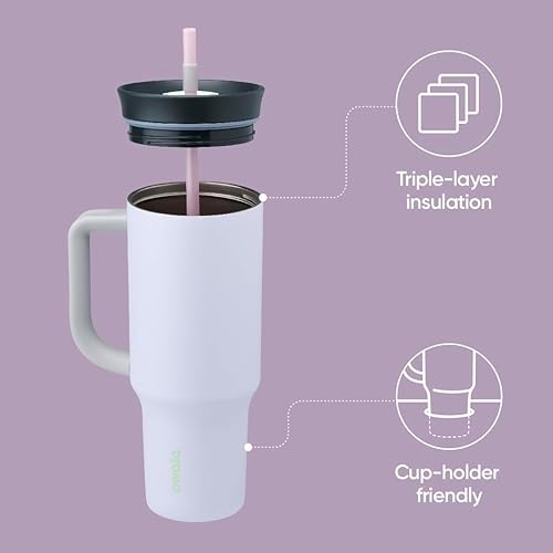 Owala Stainless Steel Triple Layer Insulated Travel Tumbler with Spill Resistant Lid, Straw, and Carry Handle, BPA Free, 40 oz, Dusty Pink (Yoga Rose)