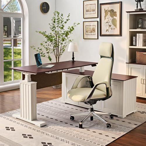 EUREKA ERGONOMIC Ark EX, 60x26 Executive Standing Desk,l Shaped Standing Desk,Adjustable Height Office Desk with Drawers,Computer Desk with Storage Drawers, Modern Executive Home Office Desk