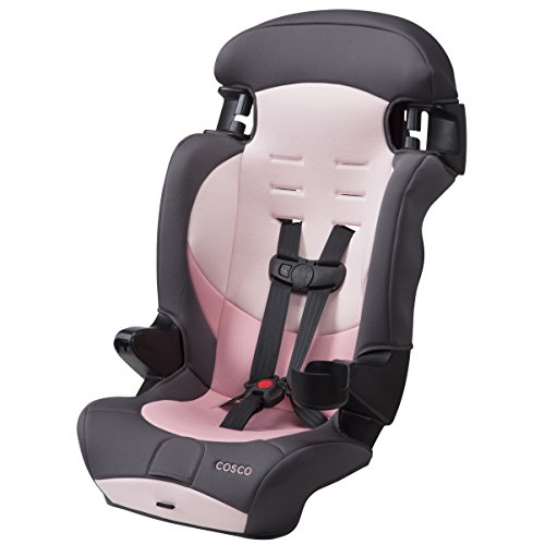 Cosco® Finale DX 2-in-1 Booster Car Seat, Dusk