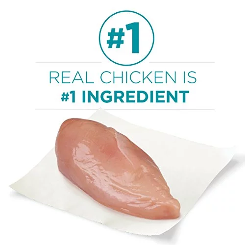 Purina ONE Natural Dry Cat Food, Tender Selects Blend With Real Chicken - 7 lb. Bag