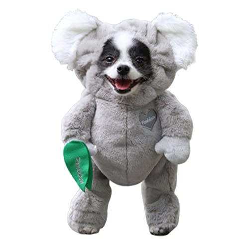 Pandaloon Pet Costume - As Seen on Shark Tank - Patented - Funny Costume with Arms for Small and Medium Dogs and Cats (Koala, Size 3(17-19 in Height at TOP of Head,Girth