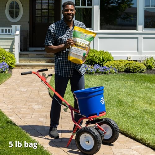 Jonathan Green 10315 Black Beauty Grass Seed Mix, 25-Pound