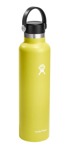 Hydro Flask 21 Oz Standard Flex Cap Black