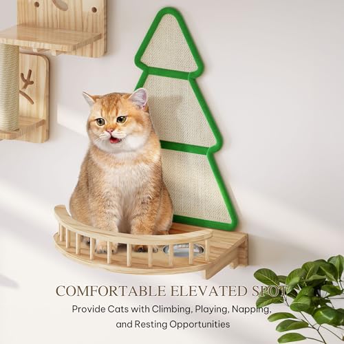 Cat Wall Shelves and Perches, Solid Wood Wall Mounted Cat Furniture, Set of 13 Cat Climbing Shelves with Moon Hammock, House, Wall Ladder, Scratching Post and Cat Tunnel