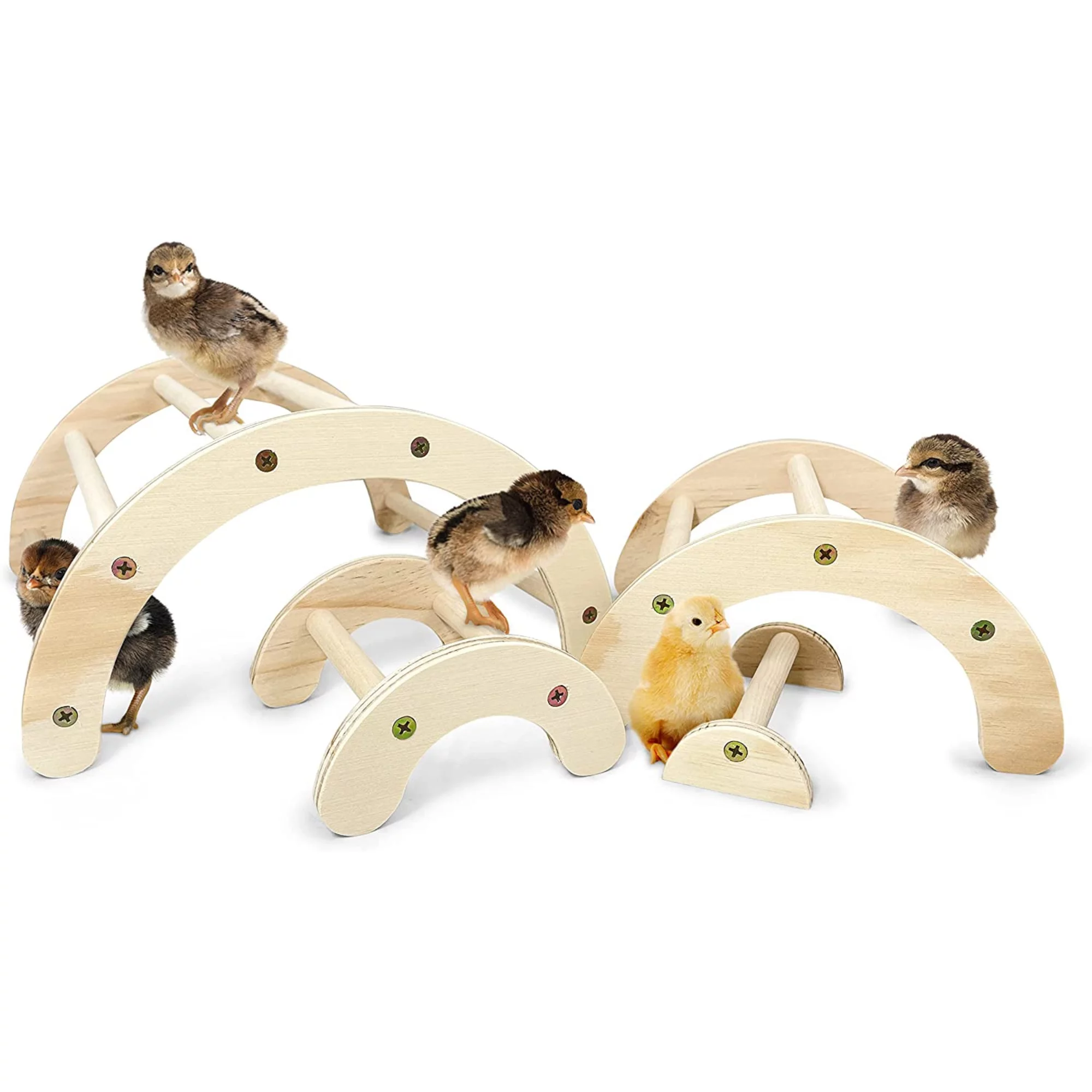 Backyard Barnyard Chick Perch (4 Pack) Made in USA!!! Strong Jungle Gym Natural Wood Roosting Bar Chicken Toys for Brooder and Coop Baby Birds El Pollitos La Pollita Pollos Gallinas Polluelos
