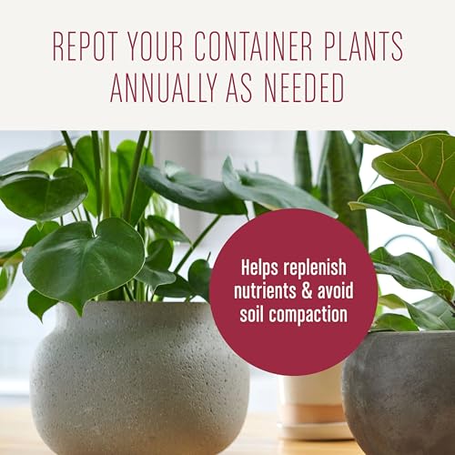 Miracle-Gro Houseplant Potting Mix - Fertilized Soil, Designed to be Less Prone to Gnats, 4 qt. (2-Pack)