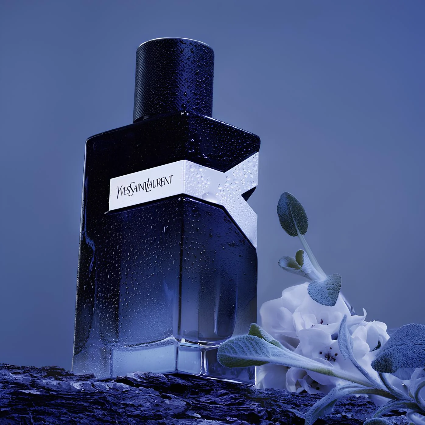 New Y.S.L Sealed, Yv.es-Sai.nt-La.ur.en-t Y Men's Eau De Parfum Vaporisateur Spray 3.4 oz/100 ml