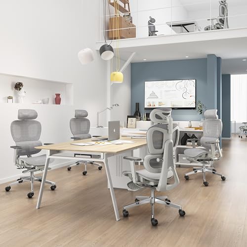 Ergonomic Mesh Office Chair with 3D Adjustable Armrest,Plastic Frame High Back Desk Computer Chair Ergo3d Ergonomic Office Chair with Wheels for Home & Office Black