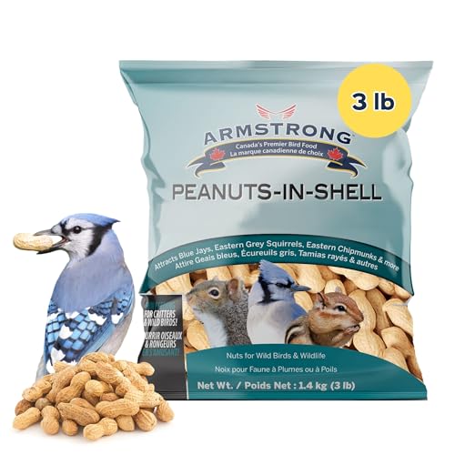 Peanuts-in-Shell, 10 Pounds - for Blue Jays, Eastern Grey Squirrels and Eastern Chipmunks for Outside Feeders