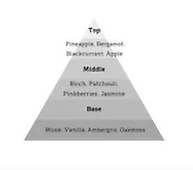 ALT Fragrances- 60ML Executive Parfum Platinum Addition Inspired by Aventus PE