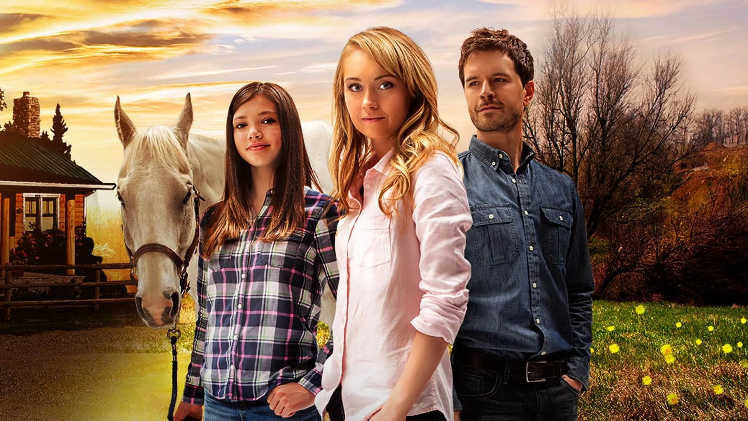 HEARTLAND: SEASON 8