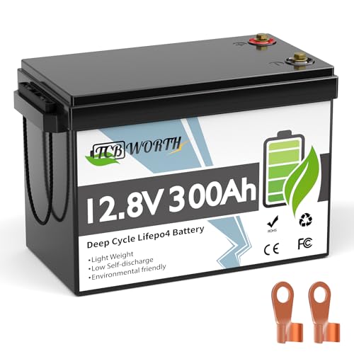 12V 100Ah LiFePO4 Battery, Rechargeabel Deep Cycle Lithium Batteries, 100A BMS with Low-Temp Protection, Perfect for RV, Solar, Boat, Marine, Trolling Motor