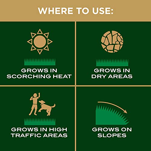 Scotts EZ Seed Patch & Repair Tall Fescue Lawns - 10 lb., Combination Mulch, Seed, and Fertilizer Mix with Tackifier, Repairs Bare Spots, Covers up to 225 sq. ft.