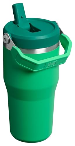 Stanley IceFlow Flip Straw Tumbler with Handle 30 oz | Twist On Lid and Flip Up Straw | Leak Resistant Water Bottle | Insulated Stainless Steel |BPA-Free | Lilac