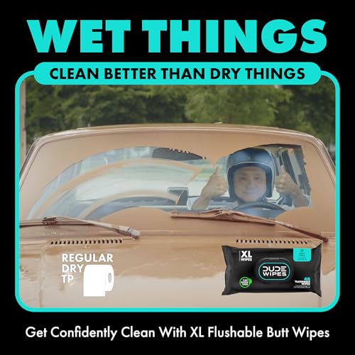 DUDE Wipes - Flushable Wipes Stocking Stuffers - 1 Pack, 48 Wipes - Mint Chill Extra-Large Adult Wet Wipes - Eucalyptus & Tea Tree Oil - Sewer and Septic Safe