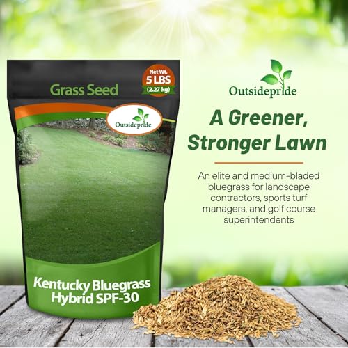 Outsidepride 5 lb. SPF-30 Heat & Drought Tolerant Hybrid Bluegrass Lawn Grass Seed