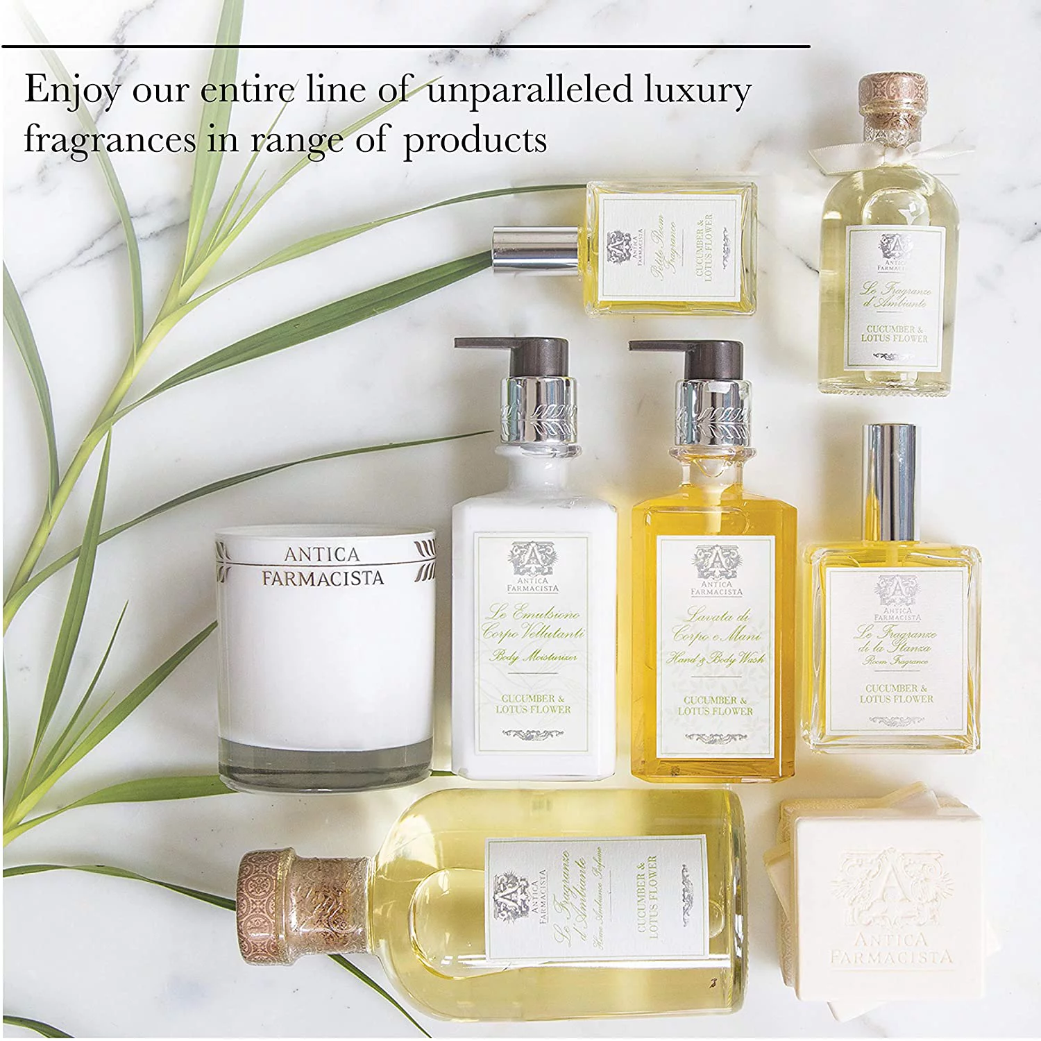 Antica Farmacista Ironwood Hand & Body Wash 10 oz