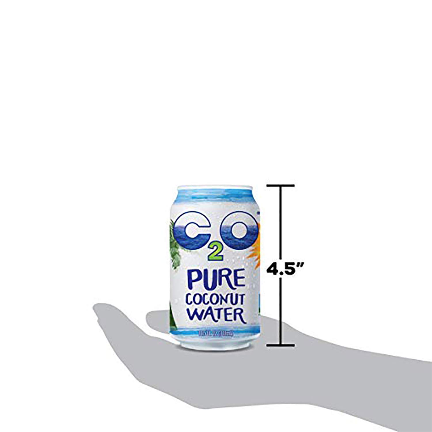 C2O Pure Coconut Water | Plant Based | Non-GMO | No Added Sugar | Essential Electrolytes | 10.5 Fl Oz (Pack of 24)