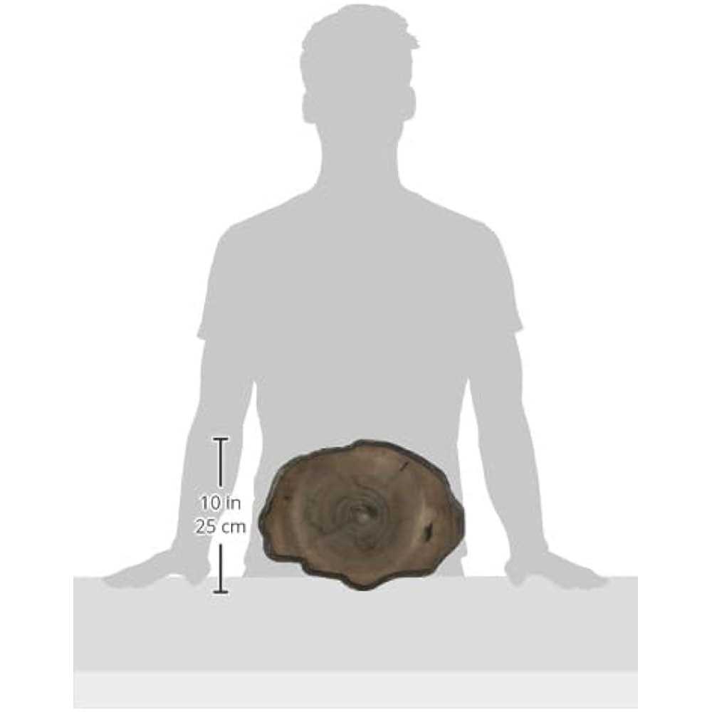 Zoo Med Repti Rock Food Dish - Pet Supplies online store