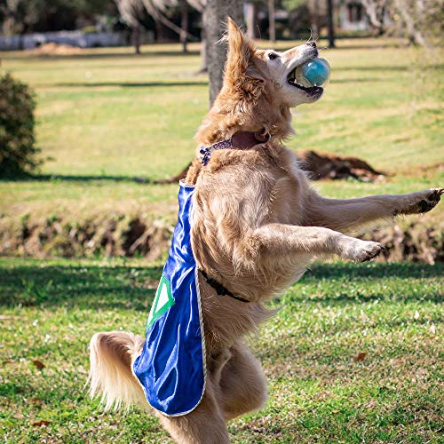 Everfan Personalized Dog Superhero Cape (Small 10