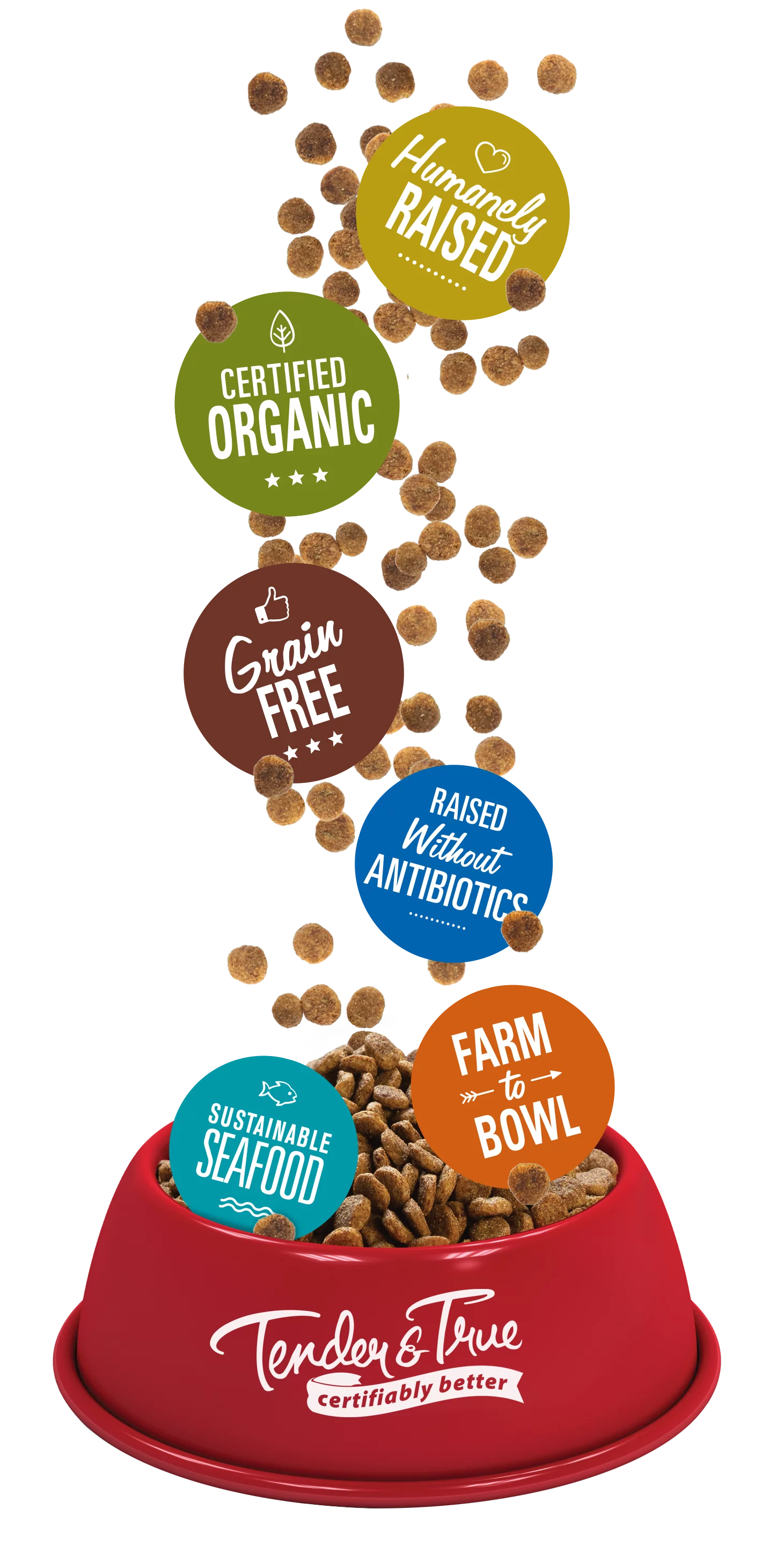 Tender & True Salmon & Sweet Potato Recipe Dry Cat Food, 7 lb bag