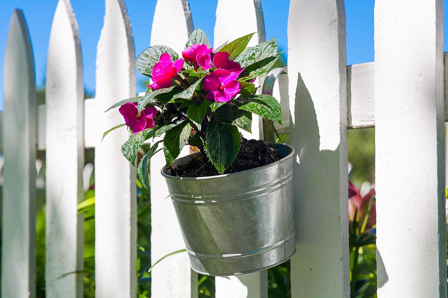 Panacea 83230 8 inch Dia. Over-The-Rail Planter, Aged Galvanized Finish