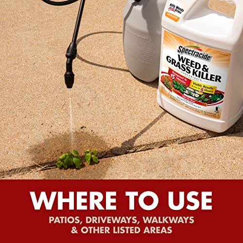 Spectracide Weed & Grass Killer Concentrate, Use On Driveways, Walkways and Around Trees & Flower Beds, 64 fl Ounce