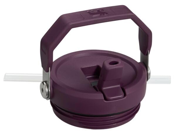 Stanley IceFlow Flip Straw Tumbler with Handle 30 oz | Twist On Lid and Flip Up Straw | Leak Resistant Water Bottle | Insulated Stainless Steel |BPA-Free | Lilac