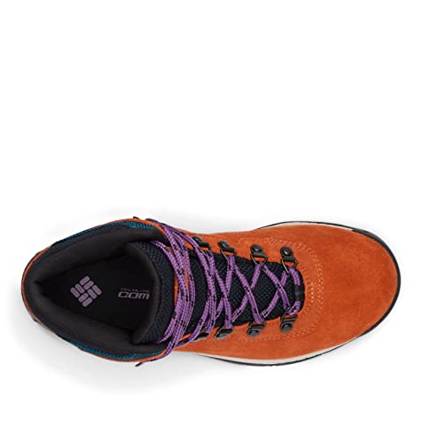 Columbia Women's Discontinued Newton Ridge Plus Waterproof Amped Hiking Boot