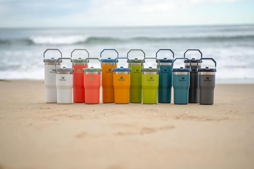 Stanley IceFlow Flip Straw Tumbler with Handle 30 oz | Twist On Lid and Flip Up Straw | Leak Resistant Water Bottle | Insulated Stainless Steel |BPA-Free | Lilac