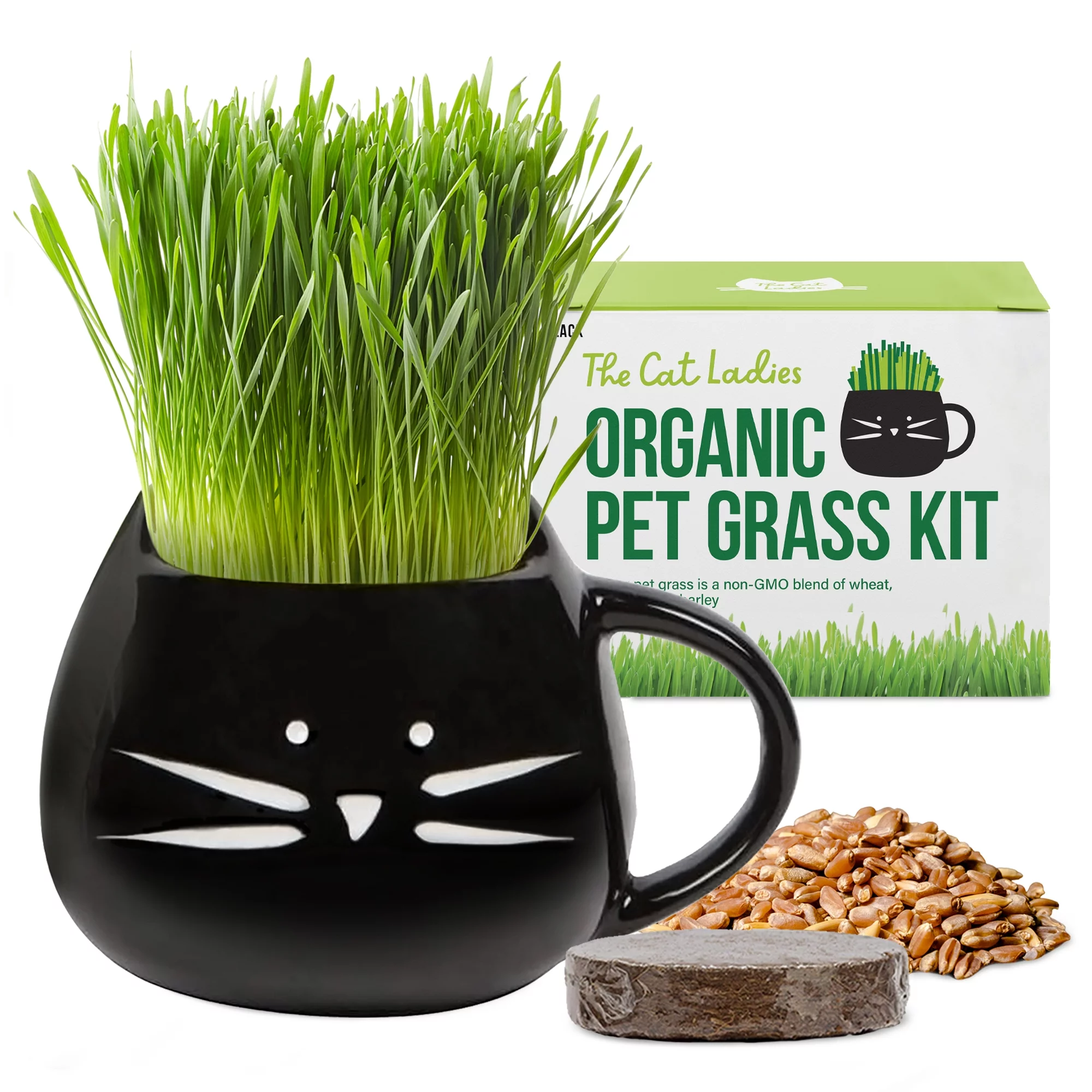 The Cat Ladies Organic Cat Grass Growing Kit with Black Cat Mug Planter